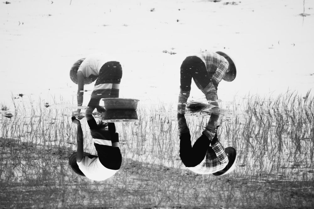 Photograph by son dam minh