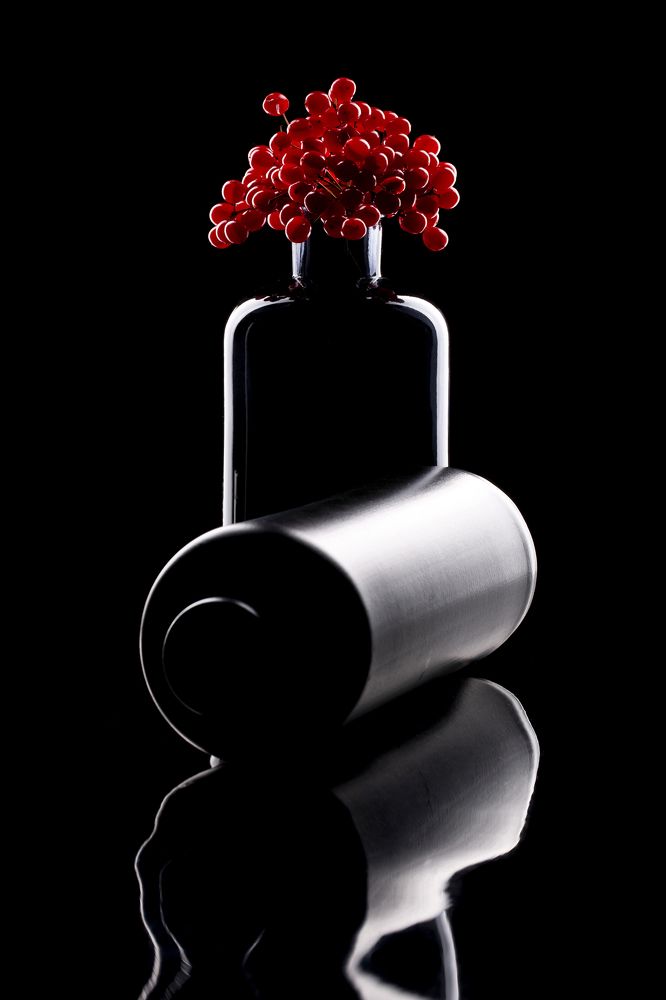 Этюд с калиной красной