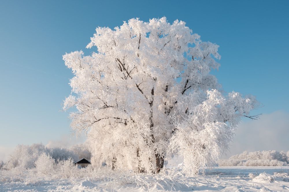 Photograph by Константин Леонтьев