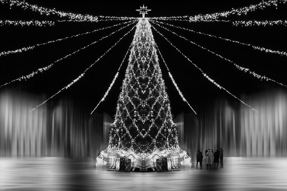 Christmas tree in b&w