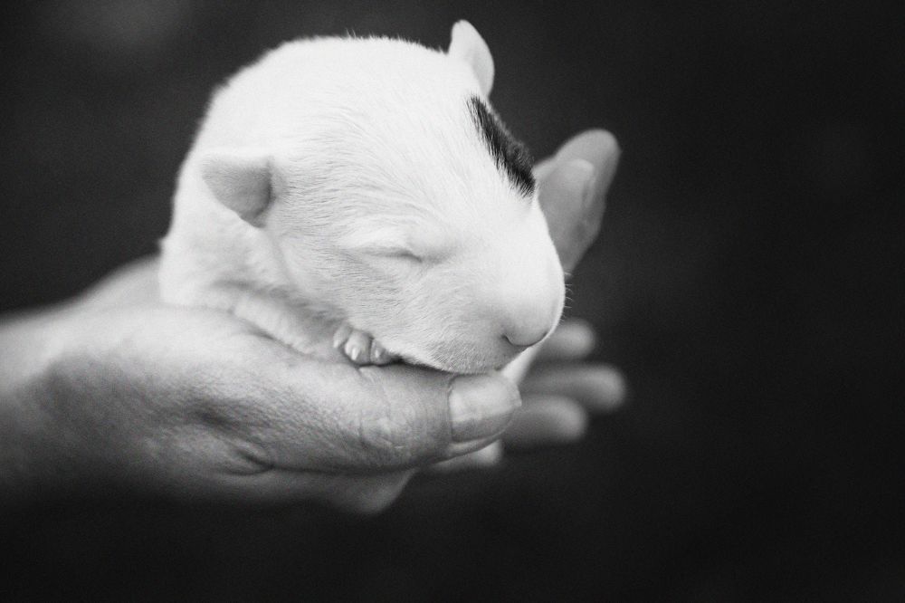 Photograph by Дмитрий Бородин