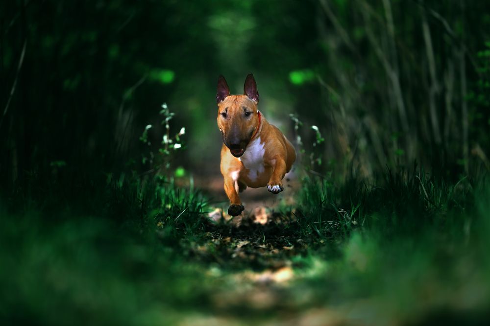 Photograph by Дмитрий Бородин