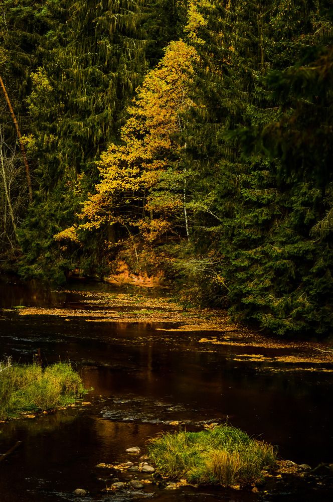 Photograph by Кристина Вингре