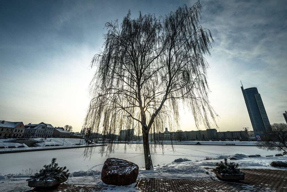 Фотография автора Валерий Невмержицкий