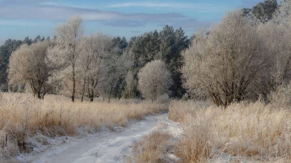 Photograph by Марат Кучкаев