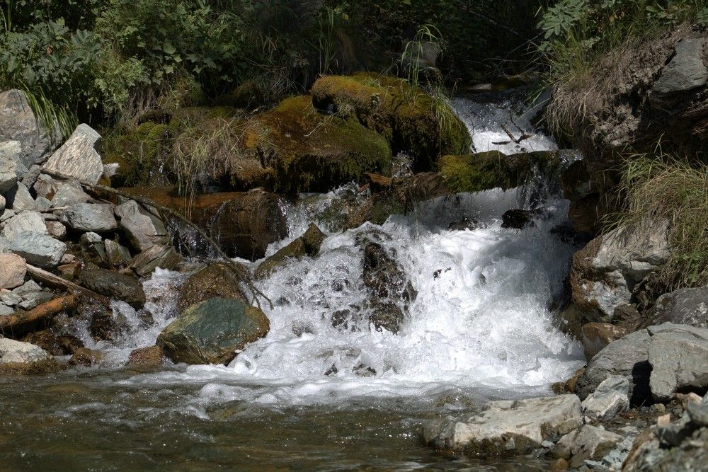 Photograph by Kseniya Panova