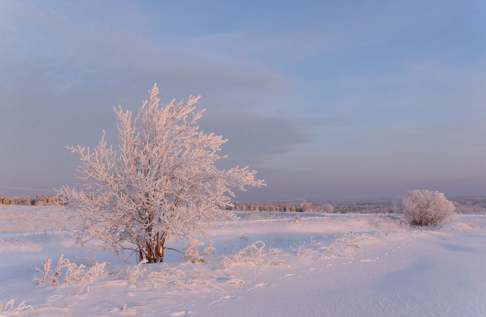 Нежное утро