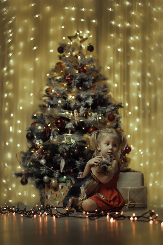 «Он настоящий!»