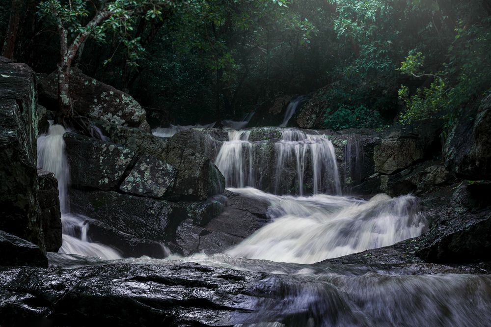 Photograph by NAVONILOY BHAUMIK