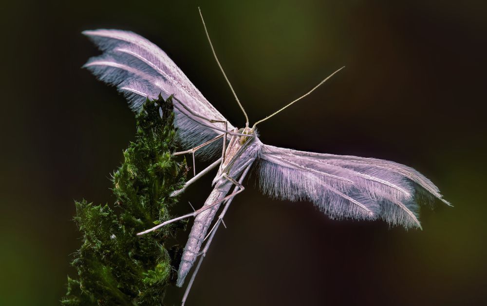 Photograph by Андрей Зимин