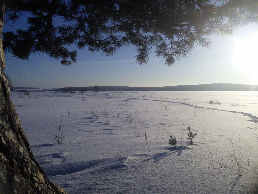 Photograph by Denis Chigintsev