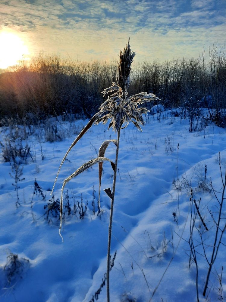 Photograph by Ирина