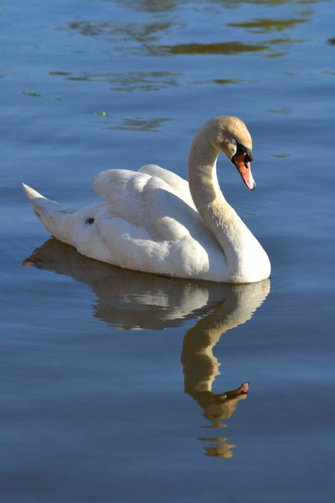 Photograph by александр фетисов