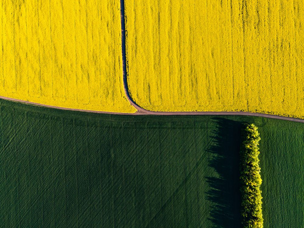 Photograph by Алексей Серков