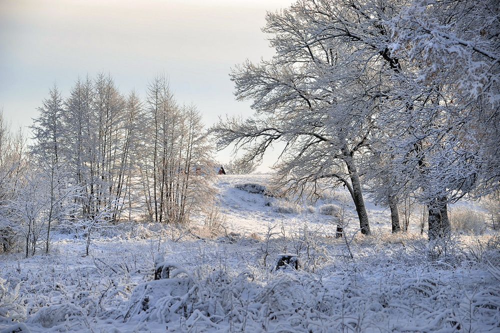 Photograph by Вадим Качанов