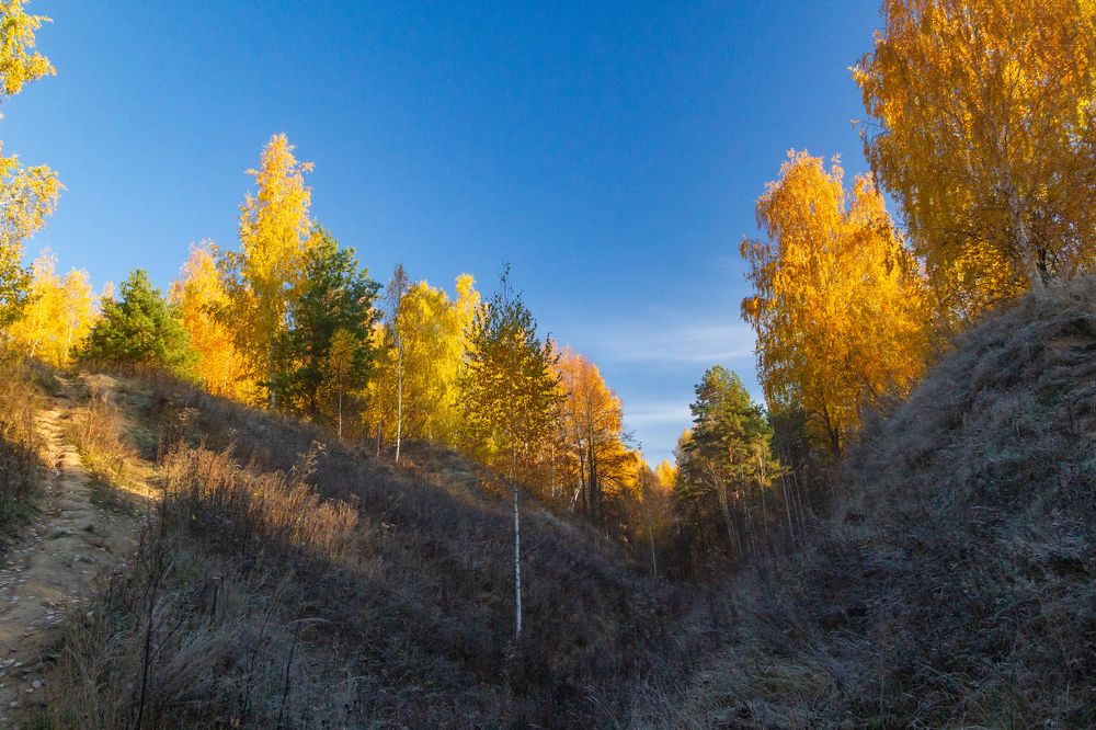 Photograph by Алексей