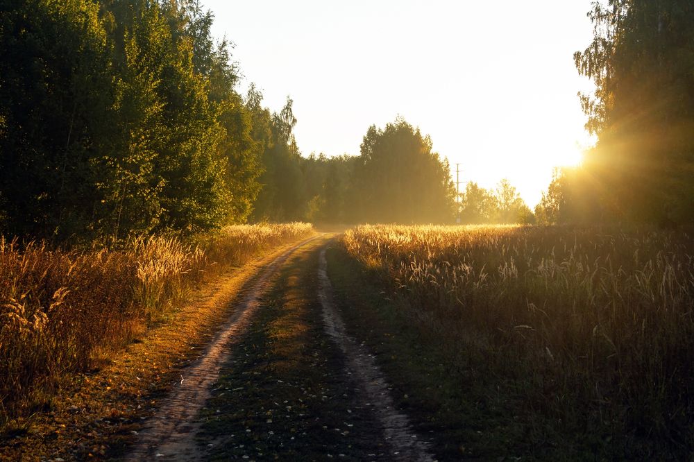 Photograph by Алексей