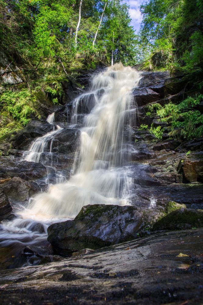 Фотография автора Сергей Расторгуев
