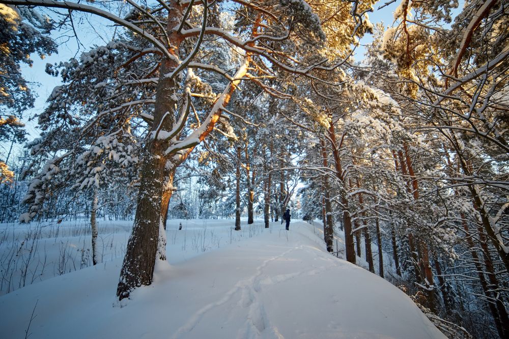 Фотография автора Сергей Расторгуев