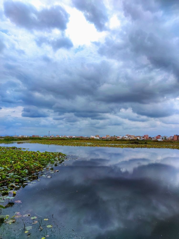 Photograph by mehdi shokravi