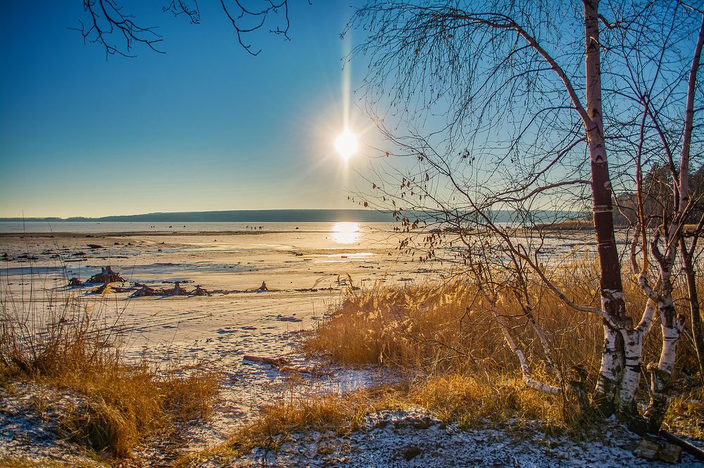 Photograph by Сокуренко Наталья