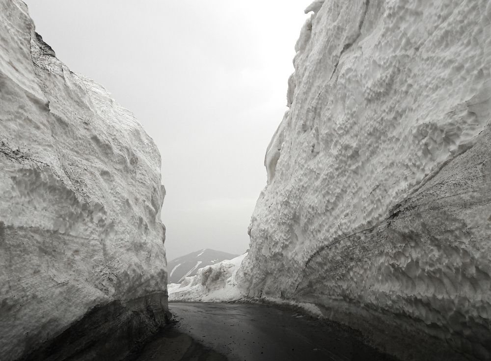 Photograph by Ольга Еженевская