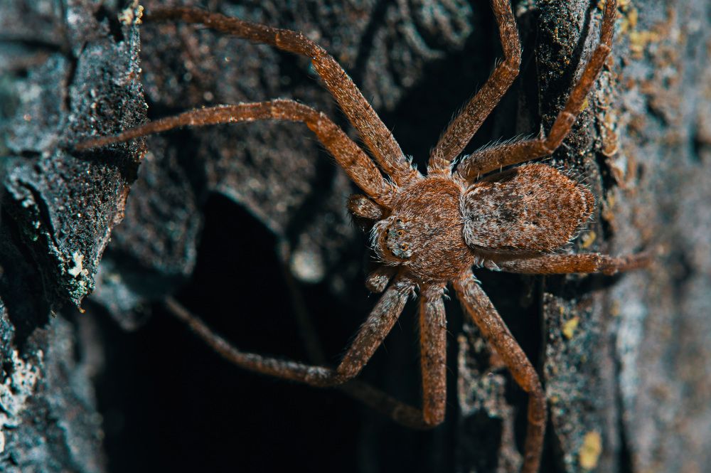 Photograph by Виталий Богачев