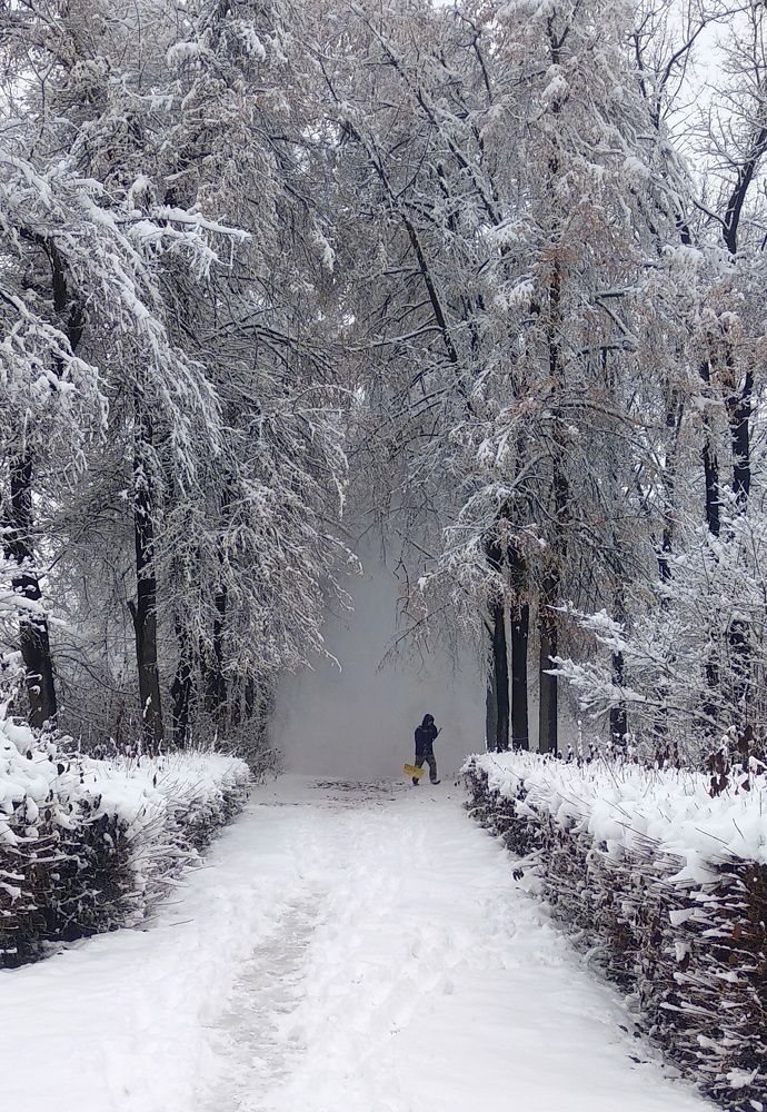 Photograph by Орынбек Асилбаев