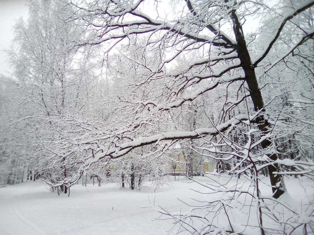 Photograph by Вадим Беляев