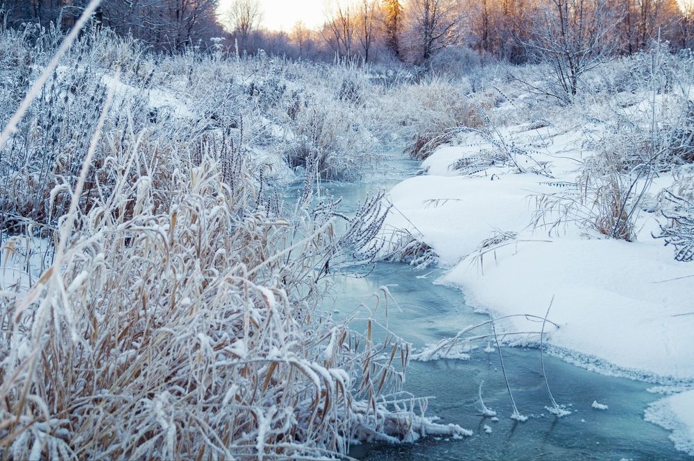 Photograph by Сергей Забиякин