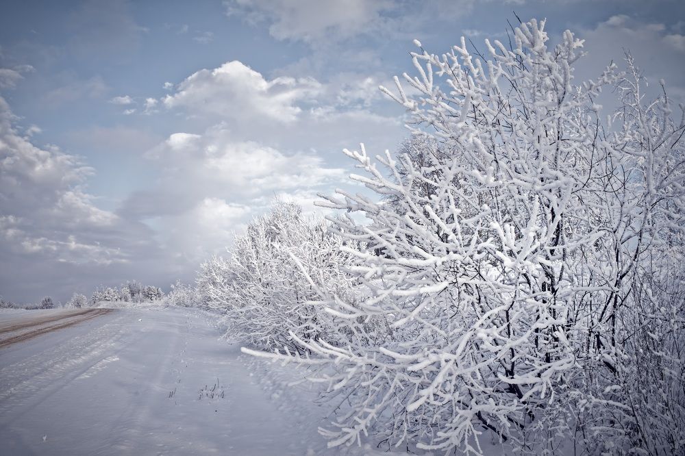 Photograph by Сергей Забиякин