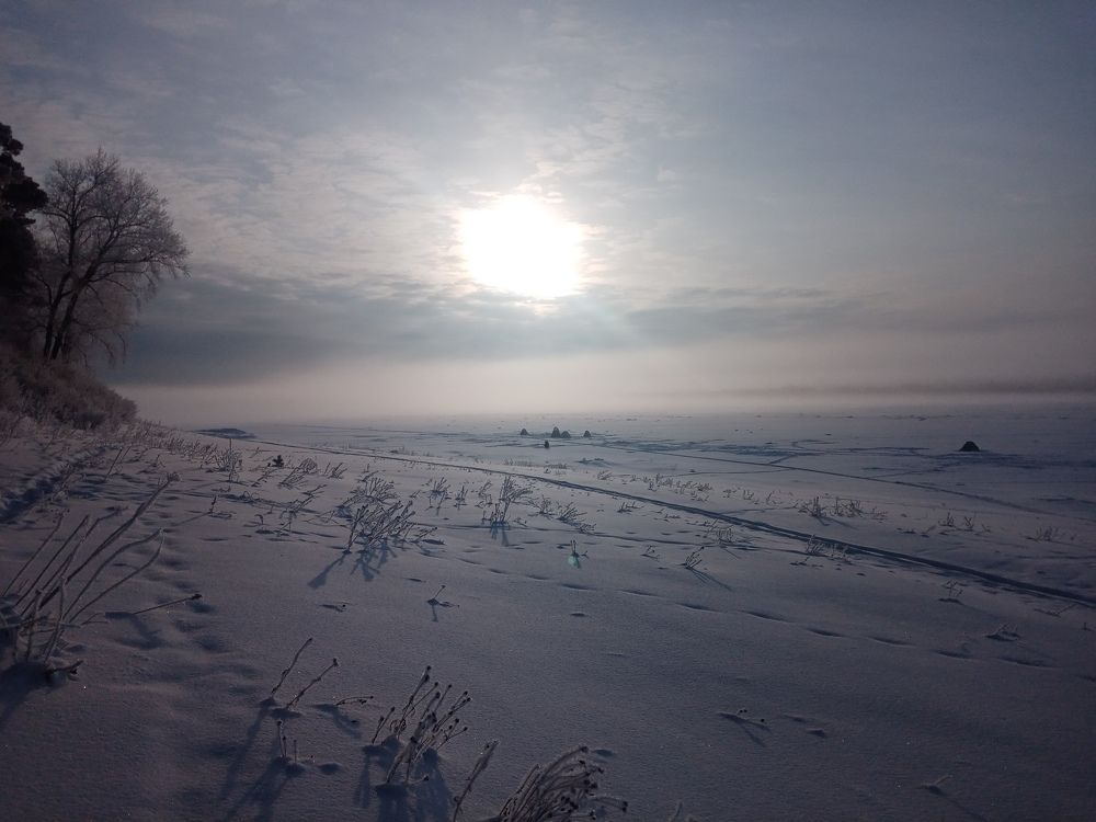 Photograph by Игорь Гожимов