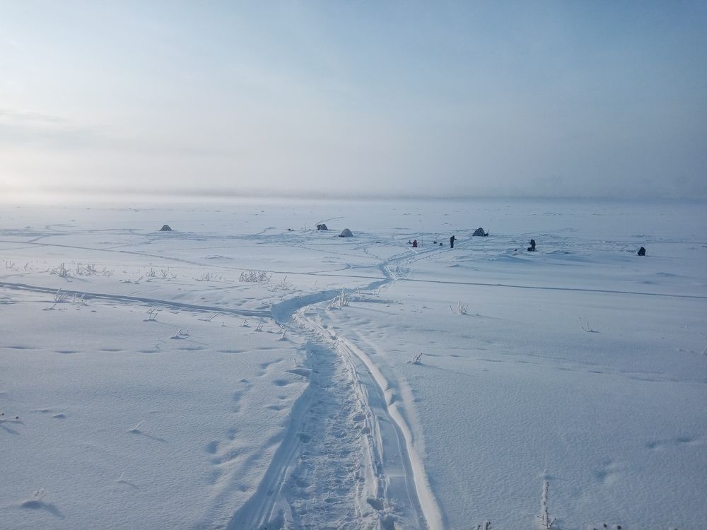 Photo #6918272