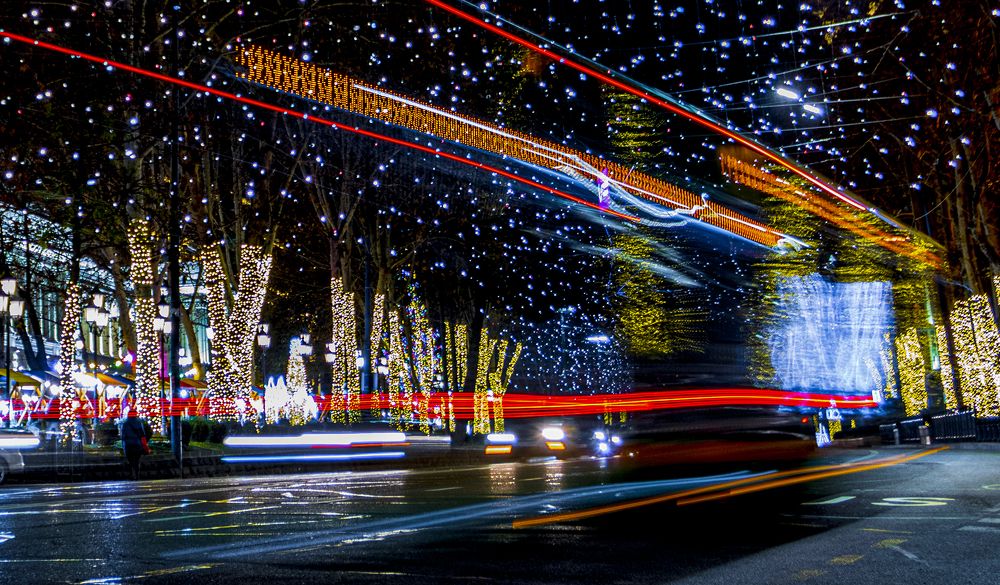 Photograph by Alex Kalpus