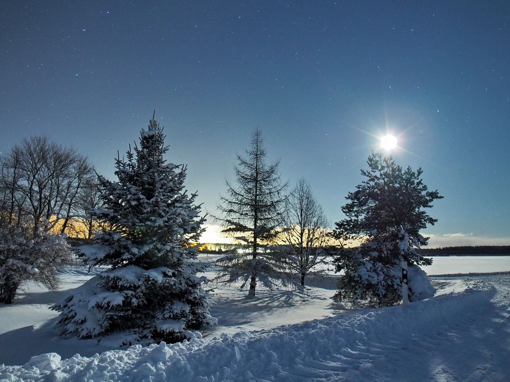 Christmas moon / Latvia 12.2021