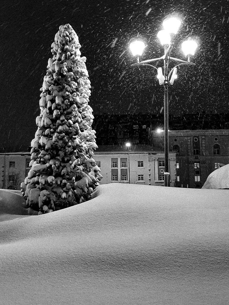 Photograph by Нурия Акимова