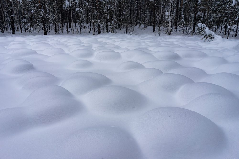 Photograph by Сергей Забиякин