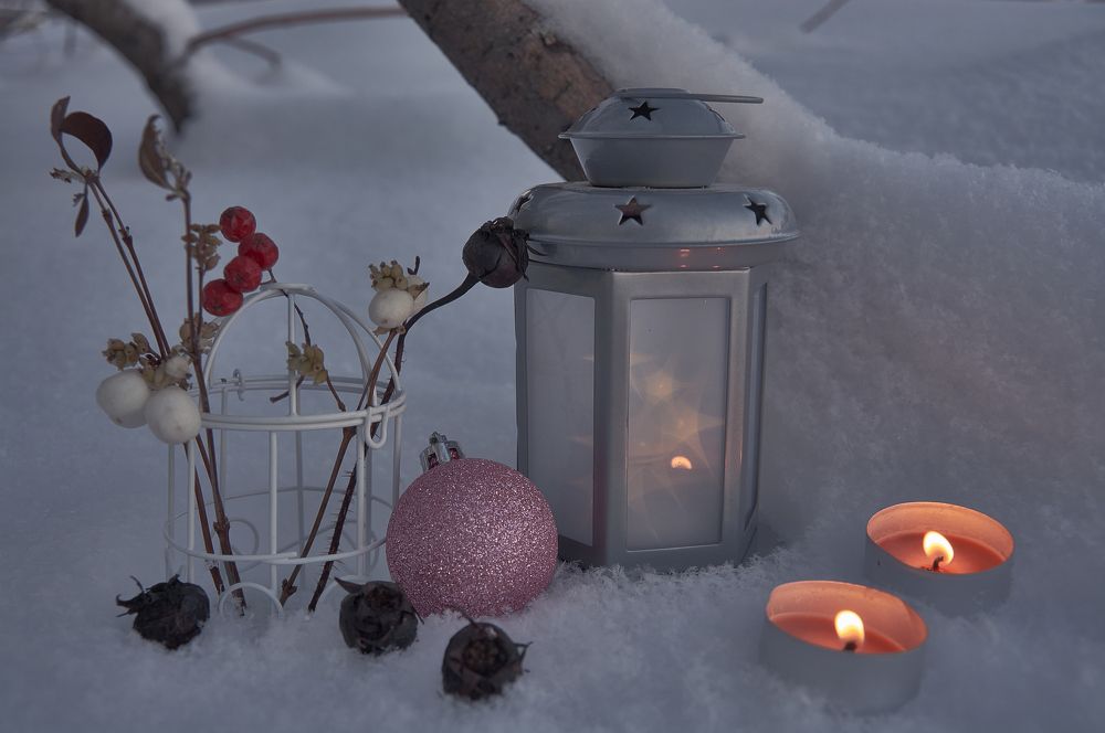 winter christmas still life in the snow