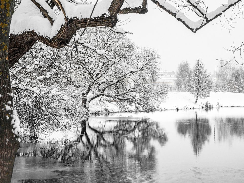 Photograph by Ольга Еженевская