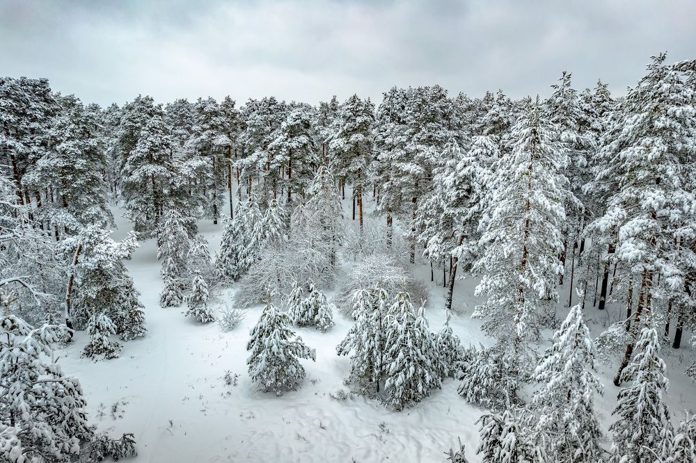 Photograph by Владимир Карпов