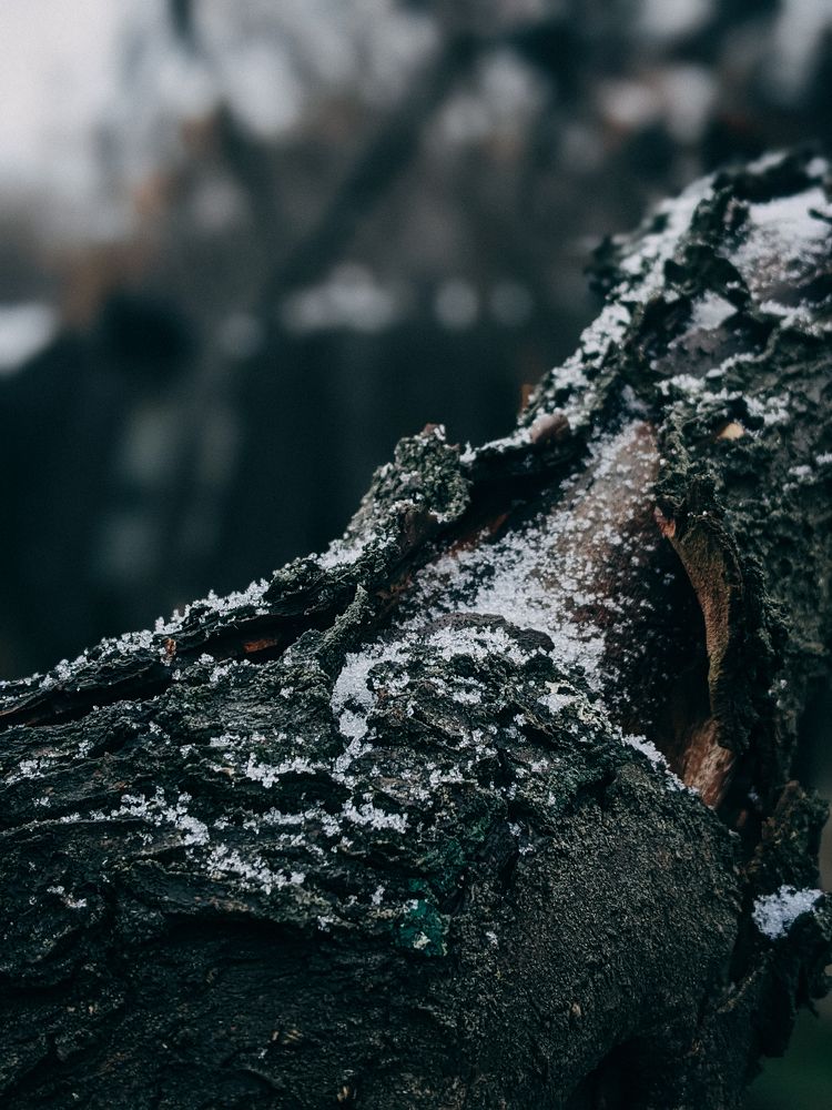 Photograph by Тимур Мельнков