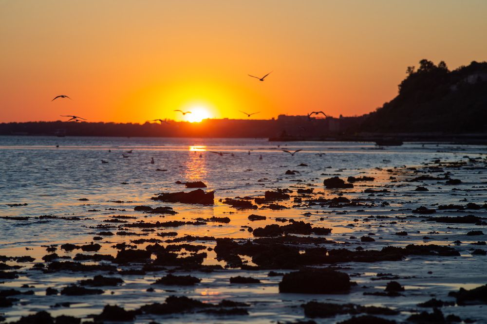 Photograph by Андрей Скорняков