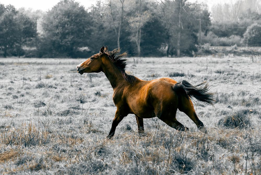 Photograph by Wendy Vanhoudt