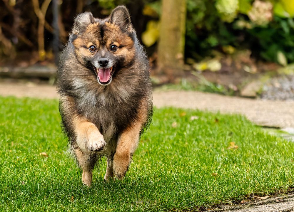 Photograph by Wendy Vanhoudt