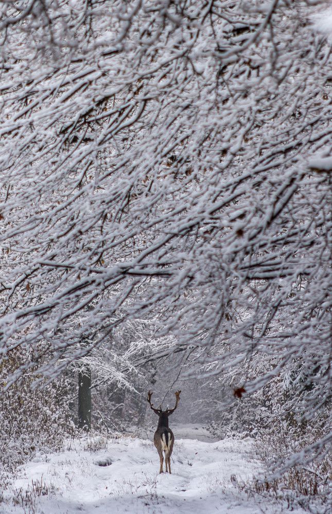 Photograph by Krzysztof Bozalek