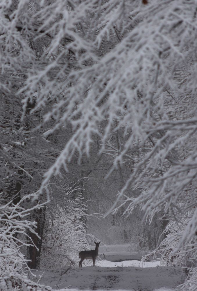 Photograph by Krzysztof Bozalek