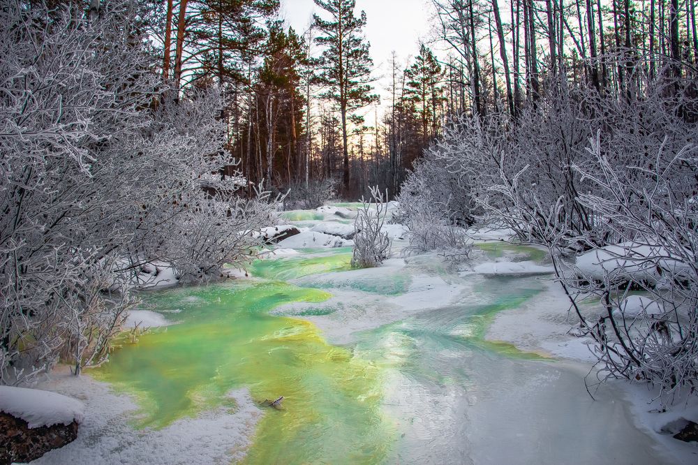 Photograph by Денис Шмаков