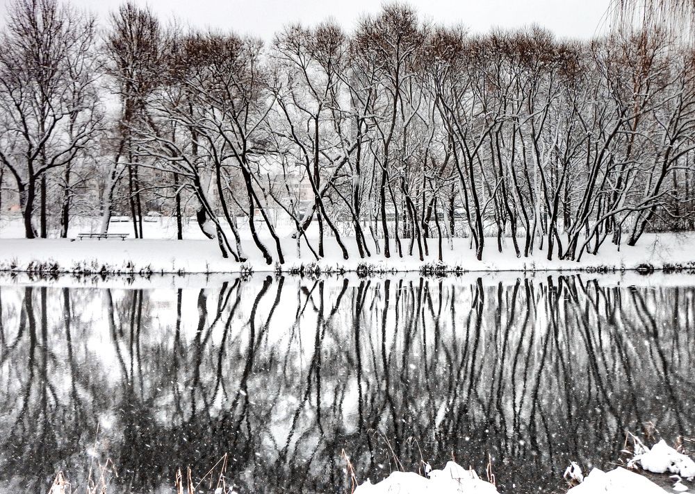 Photograph by Ольга Еженевская