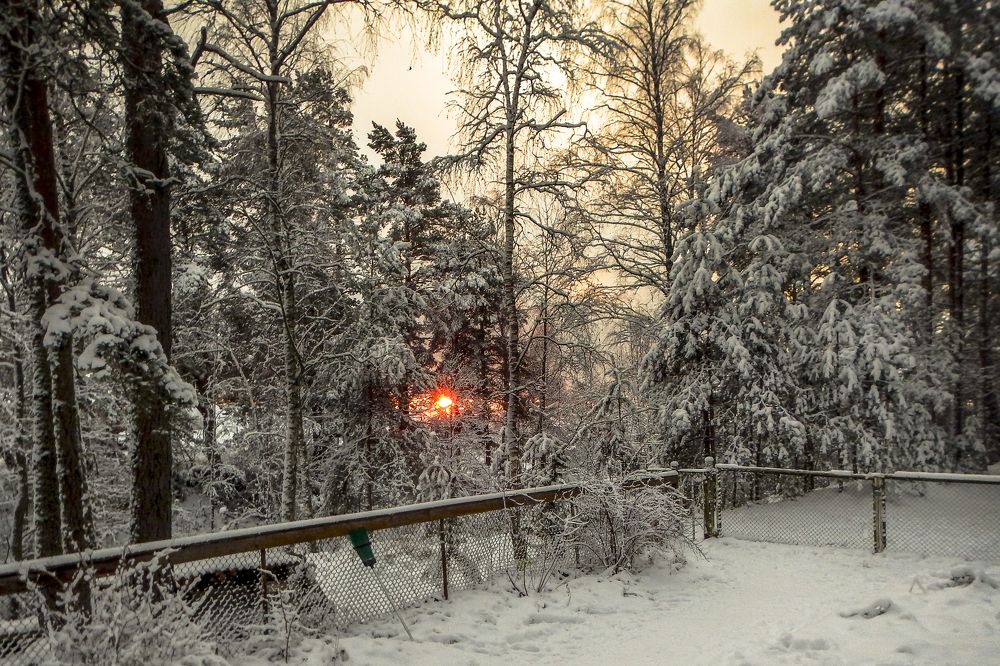 Утро на берегу озера