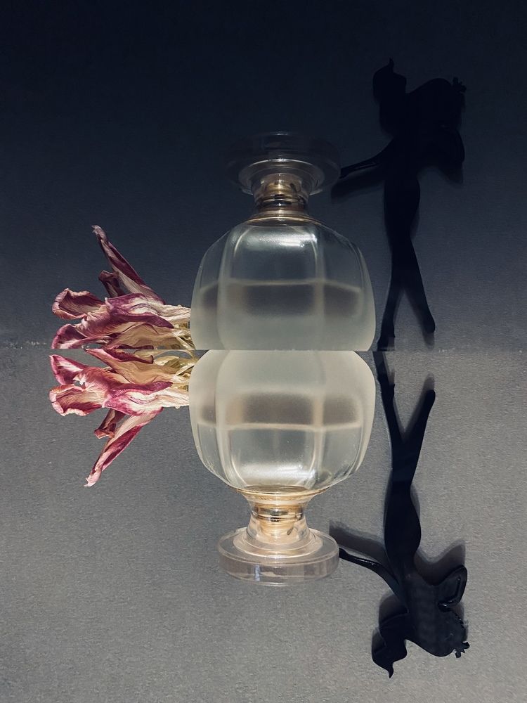 Photograph by Светлана